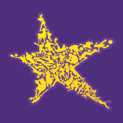 Hollywoodbets
